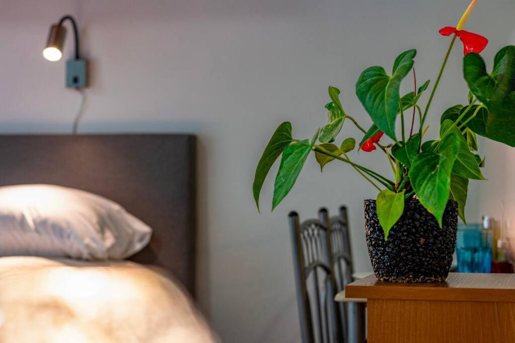 Apartman Corvin Park *